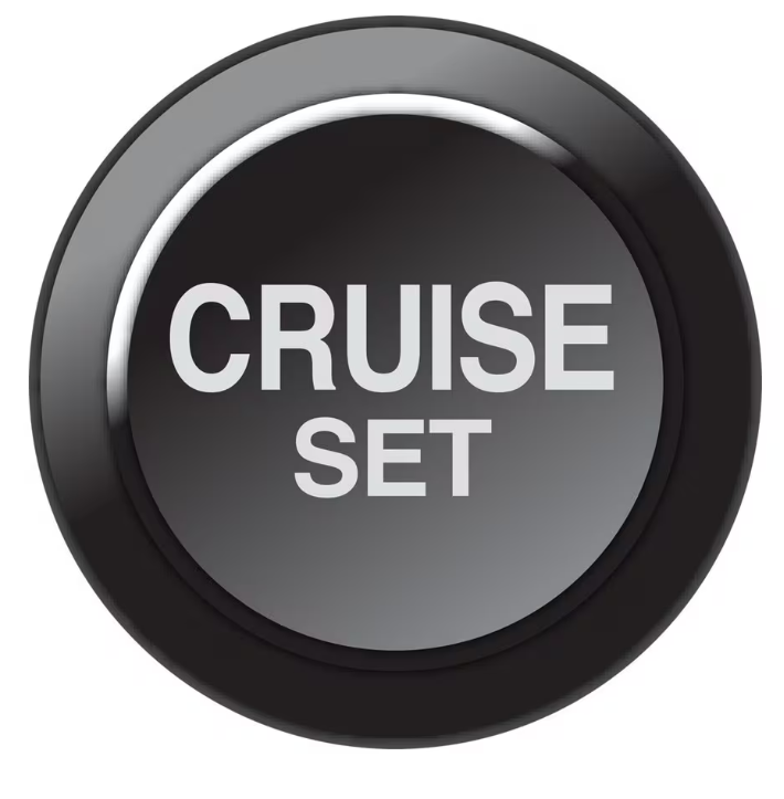 LINK CAN Keypad Insert - Cruise Set - 101-0260