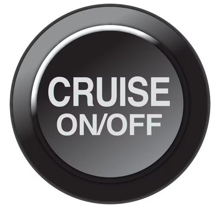 LINK CAN Keypad Insert - Cruise On/Off - 101-0259