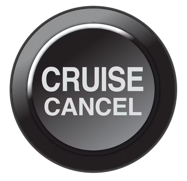 LINK CAN Keypad Insert - Cruise Cancel - 101-0261